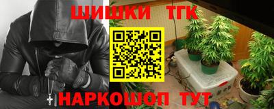 хмурый Бийск