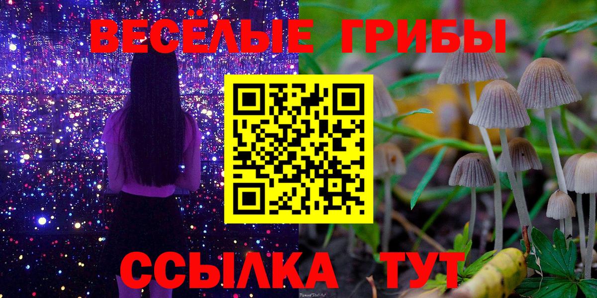Воскресенск  Псилоцибиновые грибы мухоморы  Галлюциногенные грибы прущие грибы  Вход с VPN 